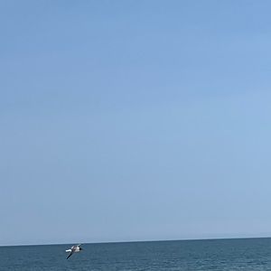 Meet your Posher, Faith